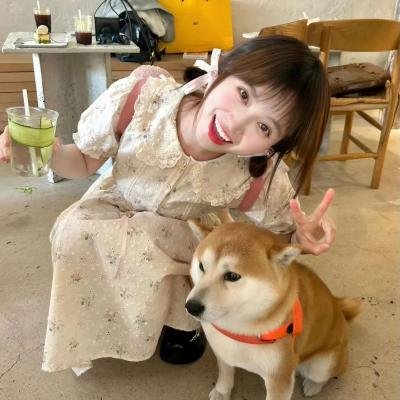 孤国春秋 第三季